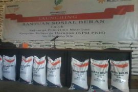 Sebanyak 163.356 Keluarga Penerima Manfaat Riau terima bansos beras 30 kg