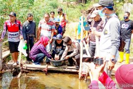 Disnakan Ogan Komering Ulu bantu  kelompok tani 3.000 bibit ikan baung