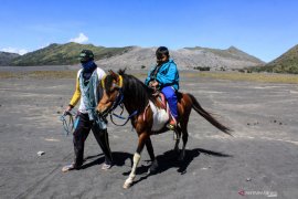 Jasa penyewaan kuda di Bromo