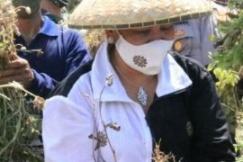 Ketua PKK Bali ajak kembali ke alam di tengah pandemi COVID-19