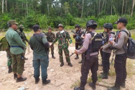 Tim gabungan tangkap pembalak liar di Muaro Jambi