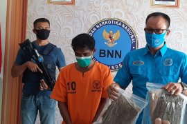 2020, BNNK Badung rehabilitasi 29 pengguna narkotika