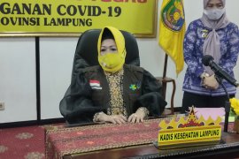 Dinkes : Jumlah pasien COVID-19 di Lampung bertambah 21 menjadi 509