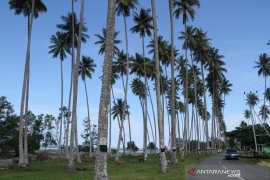 Lion Air buka rute penerbangan Balikpapan-Berau