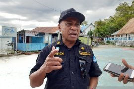 Disdik Papua selesaikan verifikasi ijazah calon kepala daerah Boven Digoel