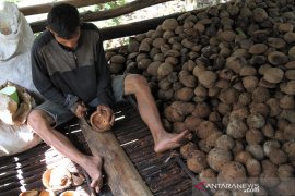 PRODUKSI TURUN HARGA KOPRA NAIK Page 1 Small