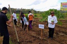 Petani Gunung Kidul diimbau bersiap memasuki masa tanam padi