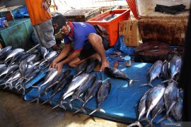 HARGA IKAN NAIK AKIBAT CUACA BURUK Page 2 Small