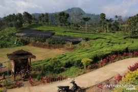 Potensi wisata Desa Tangguh COVID-19 di Andungbiru Probolinggo