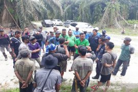 PT AGU alami kerugian miliaran rupiah akibat pencurian  TBS sawit