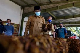 Bupati Temanggung minta industri rokok serap semua tembakau panenan petani