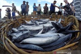 TANGKAPAN IKAN NELAYAN MELIMPAH Page 1 Small