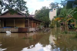 Sungai Mentaya meluap, enam desa di Kotawaringin Timur terendam banjir
