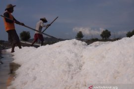 HMPG minta pemerintah kaji ulang kebijakan impor garam