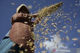 Upah nominal buruh tani naik