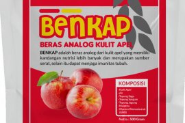 Mahasiswa FTP UB berdayakan PKK buat beras analog dari kulit apel