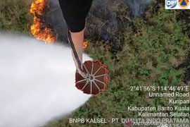 Karhutla banyak muncul padai titik sulit terjangkau Satgas Darat Kalsel