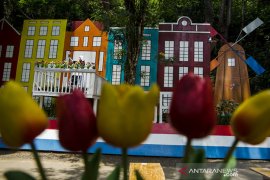 Wisata Holland spot Tahura Bandung