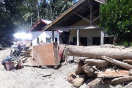 Ratusan hektare lahan pertanian Sigi  rusak terdampak banjir