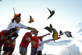 MELATIH BURUNG TERBANG KE UDARA Page 1 Small