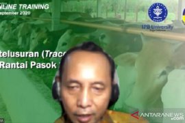 Dekan Fateta IPB sebut sistem "traceability" bisa bantu atasi mafia sapi