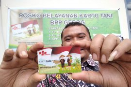 Mayoritas petani di Kudus sudah mengurus kartu tani