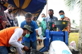 Bank Kalsel bantu petani kembangkan padi unggul untuk ketahanan pangan daerah