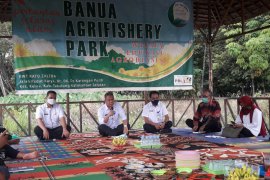 Wabup : Petani Tabalong bisa melakukan  inovasi