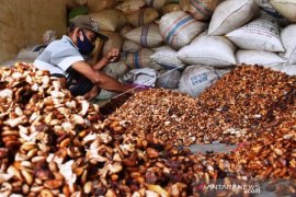 Harga Kakao Di Madiun Naik Page 1 Small