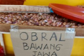 BUMD Tanjungpinang bantah miliki bawang merah busuk