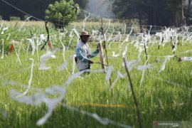 Gubernur: Sentuhan teknologi dan inovasi majukan pertanian Jatim