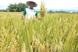 HKTI Jember sebut kebijakan pemerintah belum berpihak petani