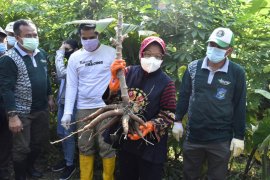 Jurus Risma hadang resesi saat pandemi COVID-19
