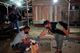 Seorang petani di Bireuen tewas dianiaya