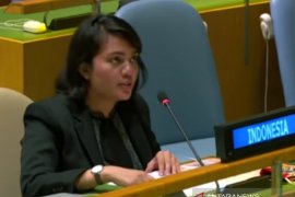 RI tegaskan Vanuatu berhentilah berfantasi jadil wakil warga Papua