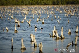 Gubernur Gorontalo minta masyarakat Pohuwato jaga lingkungan