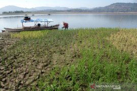 Pemanfaatan Waduk Bili-bili pada musim kemarau Page 1 Small