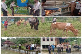 Ini dia kampung tangguh inspirasi yang didirikan Polres Tapteng hadapi pandemi COVID-19