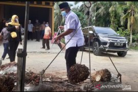 Alfedri unjuk kebolehan menonjok sawit kala kampanye di Dayun