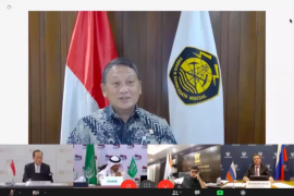 Menteri Energi G20 sepakati peran penting biofuel untuk energi bersih