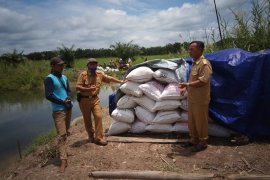 Mesuji usul pembangunan irigasi untuk lahan seluas 25 ribu hektare