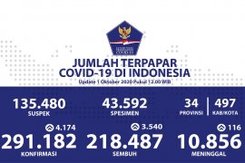 Positif COVID-19 di Indonesia bertambah 4.174, total 291.182 kasus