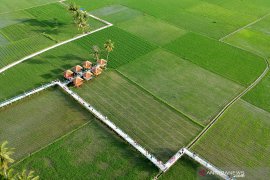 Swasembada pangan di mata satelit