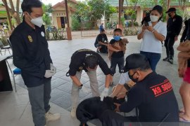 Peringati hari rabies se dunia DKP3 Banjarmasin bakal gelar vaksinasi