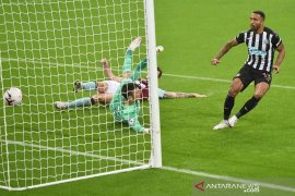 Newcastle  khawatir dengan kebugaran top skorer mereka