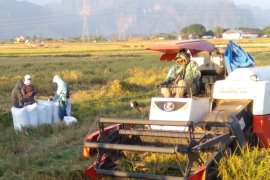 Produktivitas pertanian di Sulsel masih terjaga di tengah pandemi