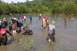 Kementerian Perikanan dan Kelautan RI bantu pengembangan Ekowisata manggrove Aceh Jaya