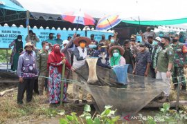Bupati HST hadiri temu lapang sekaligus panen perdana ikan haruan