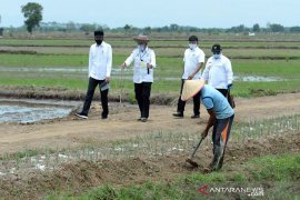 Presiden Jokowi minta waspadai fenomena La Nina sebabkan peningkatan curah hujan bulanan
