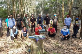 LPB Pama Banua Lima gelar pelatihan budidaya kelulut